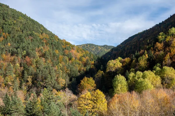 stock image An autumnal valley with orange, yellow and green trees.