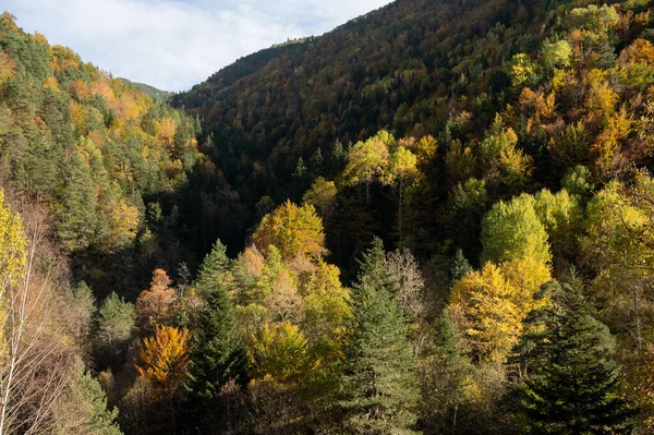 stock image An autumnal valley with orange, yellow and green trees.