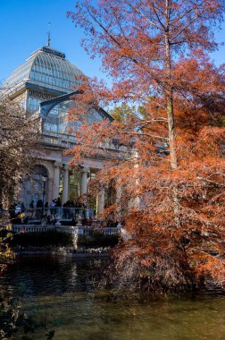 Madrid mi? İspanya; 19 Kasım 2022: Madrid 'deki Etiro Park Kristal Sarayı' nda sonbahar