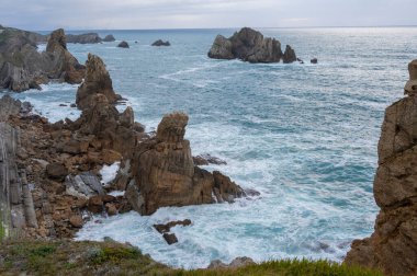 Denizden çıkan pürüzlü kayalar, otla kaplı uçurumlar ve bulutlu bir gökyüzü olan engebeli bir kıyı şeridi. Doğal stil, seyahat, doğa koruma veya açık hava macerası temaları için uygun olan kıyı manzarasının vahşi güzelliğini yakalar.. 