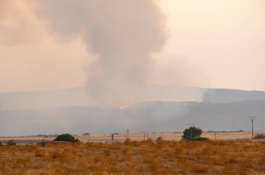 Çevre Gazeteciliği, İklim Değişikliği Raporları veya Afet Yönetimi İçin İdeal.