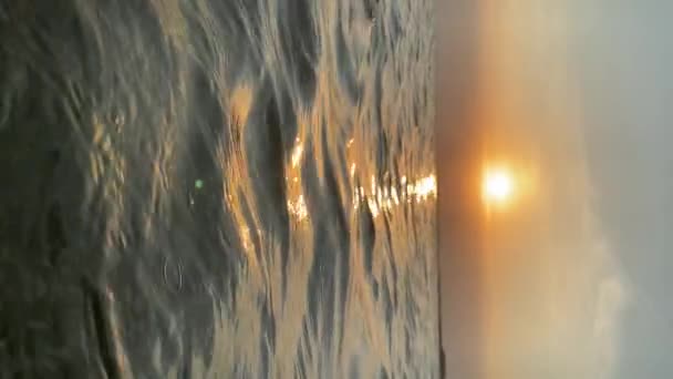 Vertical Video Sunset Horizon Baltic Sea Small Waves Birds Flying — Stock Video