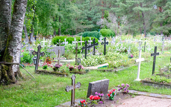 Старое кладбище в лесу со многими крестами. Эстония. .