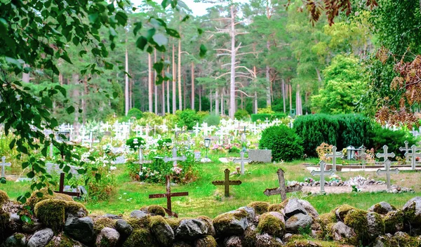 Ancien Cimetière Dans Forêt Avec Nombreuses Croix Estonie — Photo