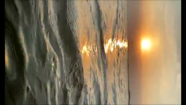 垂直ビデオ 小さな波と鳥が飛んでバルト海の地平線に沈む夕日 休暇と旅行のコンセプト — ストック動画