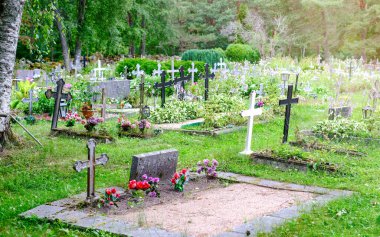 Ormanda birçok haçı olan eski bir mezarlık. Estonya. .