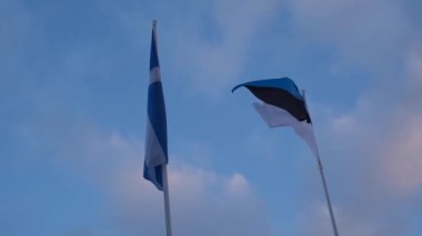 The official state symbol of Estonia is a flag with a blue, black and white stripe against a blue sky fluttering in the wind.