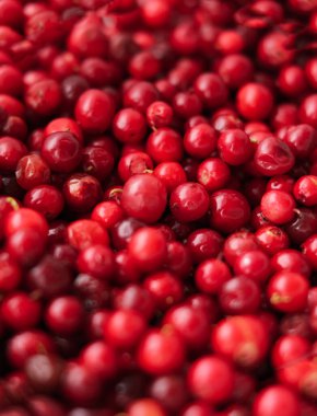 Böğürtlenlerin yakın çekim dokusu. Doğal arka plan. Dikey fotoğrafçılık.