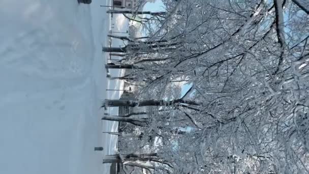 Hermoso Paisaje Invernal Con Árboles Cubiertos Nieve Vídeo Vertical — Vídeo de stock