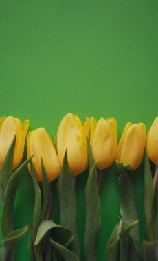 Flowers composition. Yellow tulip flowers on green background. Spring, summer concept. Flat lay, top view, copy space.