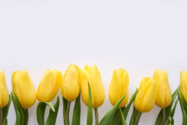 Flowers composition. Yellow tulip flowers on soft white background. Spring, summer concept. Flat lay, top view, copy space.