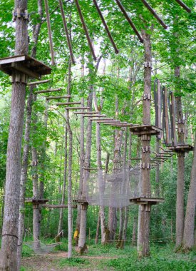 Ağaçların yakınındaki halat parkı. Spor ve eğlence kavramı..