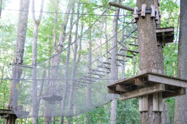 Ağaçların yakınındaki halat parkı. Spor ve eğlence kavramı..