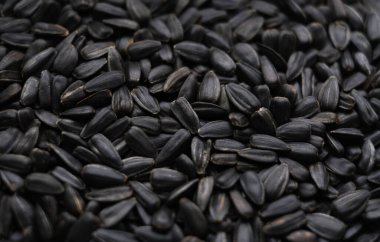 Ayçiçeği tohumlarının arkaplanı, yakın plan.