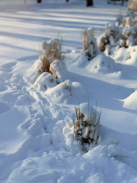 地面上降雪形成的冬季自然背景 — 图库照片