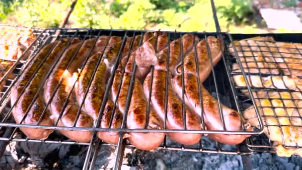 Close Cooking Meat Sausages Grill Grate Clear Sunny Day — Stock Video