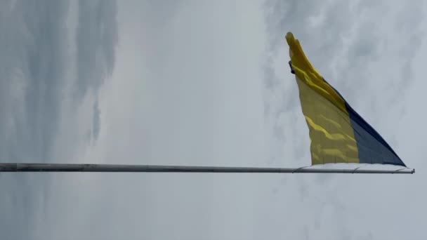 ウクライナの旗 青と黄色の色は 明るい青空の背景に風に揺れる ウクライナの国家シンボル — ストック動画