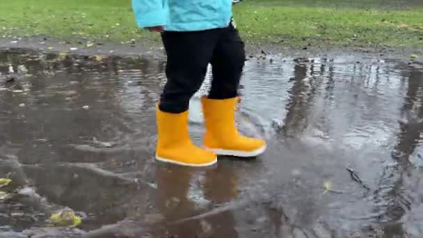 Zbliżenie Dziecka Chodzącego Żółtych Gumowych Butach Przez Kałużę — Wideo stockowe