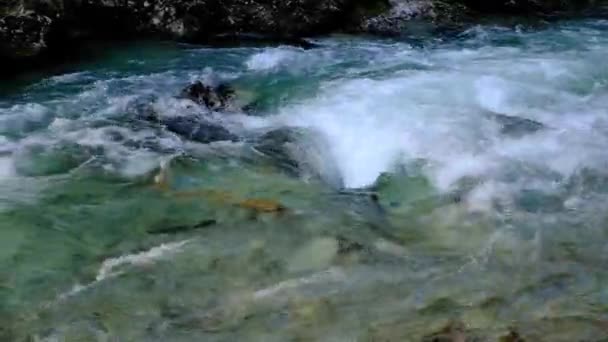 Zbliżenie Rzecznych Rzek Kanionie — Wideo stockowe