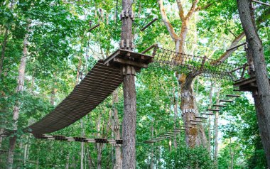 Ağaçların yakınındaki halat parkı. Spor ve eğlence kavramı..