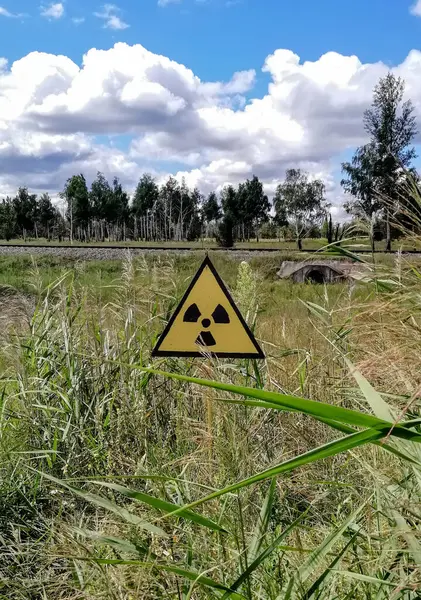 Yellow radioactive warning sign in a field of tall grass sways slightly in the wind.