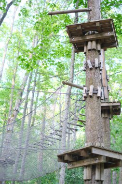 Ağaçların yakınındaki halat parkı. Spor ve eğlence kavramı..