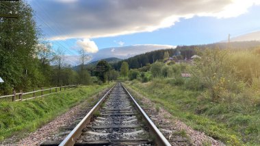 Güneşli bir günde ağaçlar ve otlarla dolu bir tren yolu..