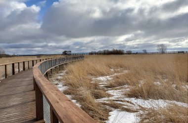 Estonya 'da uzun bir ahşap kaldırım otların arasından geçer. Gökyüzü bulutlu ve hava soğuk..
