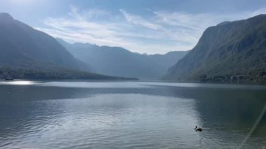 Dağlarla çevrili bir gölde bir ördek yüzüyor. Gökyüzü açık ve su sakin..