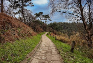 Arka planda bir tepe ve birkaç ağacın olduğu bir orman boyunca bir patika. Yol taştan yapılmıştır ve çimlerle çevrilidir..
