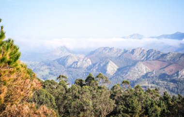Bulutlu bir gökyüzü ile güzel bir dağ sırası. Ağaçlar yemyeşil ve yemyeşil. Huzurlu ve huzurlu bir atmosfer yaratıyorlar..