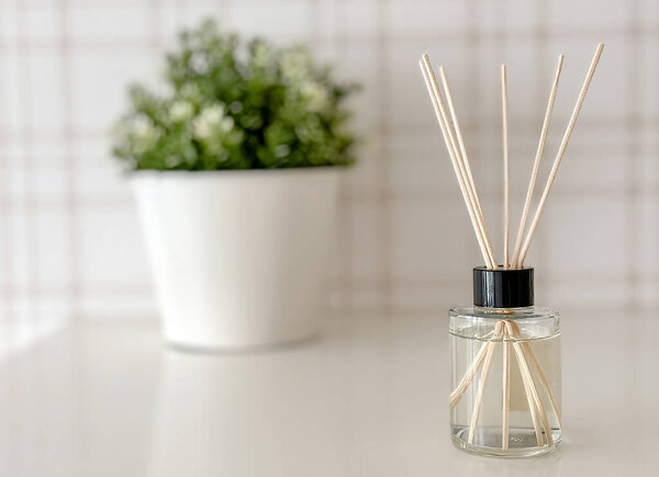 A small vase with a plant in it sits on a table. A small bottle of essential oil sits next to the vase