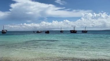 Bir grup tekne kıyıya yakın okyanusta yüzüyor. Gökyüzü bulutlu ama su sakin ve mavidir. Sahne huzurlu ve huzurlu, tekneler suda huzur içinde yüzüyor.