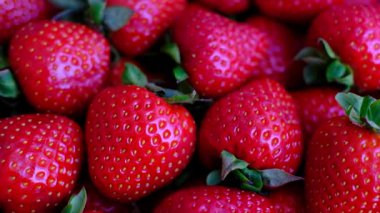 Yakından bir demet kırmızı çilek gösteriliyor. Çilekler olgunlaştı ve yenmeye hazır.