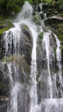 Doğal bir Xurbeo şelalesinin dikey görüntüsü yemyeşil bir orman ortamında yosun kaplı kayalara dökülüyor. Asturias, İspanya. Suyun güçlü akışı sisli ve sakin bir atmosfer yaratır.