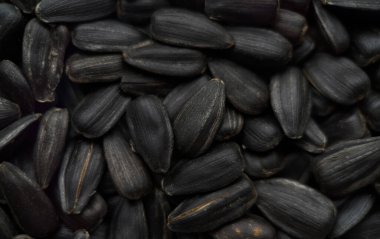 Kabuklarında çiğ ayçiçeği tohumlarının yakın çekim makrosu. Ayrıntılı doku ve doğal desenler bu resmi gıda, tarım, beslenme veya organik ürün temaları için ideal hale getirir.. 