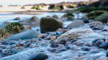 Sahil şeridinde renkli ıslak çakıl taşlarının ve pürüzsüz taşların, aralarında yavaşça akan sığ suların yakın görüntüsü. Görüntü, güpegündüz doğal dokuları ve kıyı güzelliğini yakalıyor..