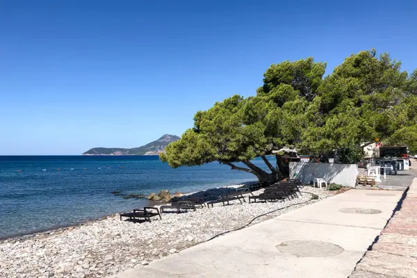 Çakıl taşlı plajlı, çam ağaçlı, güneşli ve küçük kafeli güneşli Akdeniz kıyıları. Sakin turkuaz su ve uzak tepeler mükemmel bir yaz tatili sahnesi yaratır..