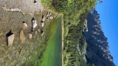 Berrak bir dağ gölü manzarası. Canlı yeşil bir rengi var. Berrak bir ormanın ortasında ve açık mavi gökyüzünün altında yükselen kayalık tepeler.. 