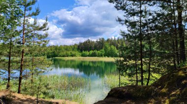 Ormanın ortasında Estonya 'da sakin bir göl. Yüzeyi açık gökyüzünü ve yemyeşil suları yansıtıyor. Su berrak ve ön planda, yemyeşil otlar ve sazlıklar görebilirsiniz..