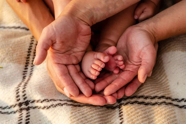 Newborn baby feet in family hands. Symbol of love