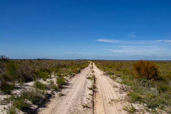 stock image Little Desert National Park Victoria Australia landscape track