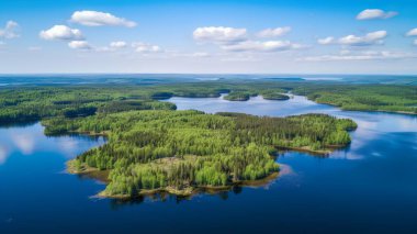 Finlandiya 'daki Saimaa Gölü ve Boreal Ormanları' nın güzel hava manzarası.