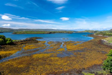 Görüntü: Dunvegan Kalesi, Skye Adası