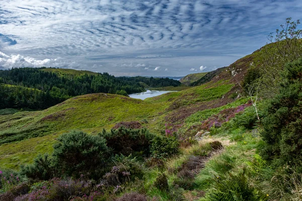 Fahrt Auf Der Landschaftlich Reizvollen Route North Coast 500 Schottland Stockbild