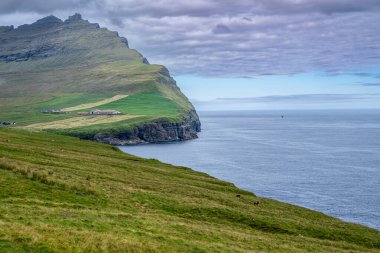 Vidareidi Manzarası, Faroe Adaları 'nın en kuzeyindeki yerleşim yeri olan Vidoy Adası' ndaki Vidareidi köyüne girmeden hemen önce yer alan manzaralı bir yerdir..