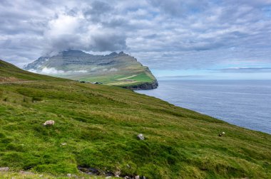 Vidareidi Manzarası, Faroe Adaları 'nın en kuzeyindeki yerleşim yeri olan Vidoy Adası' ndaki Vidareidi köyüne girmeden hemen önce yer alan manzaralı bir yerdir..