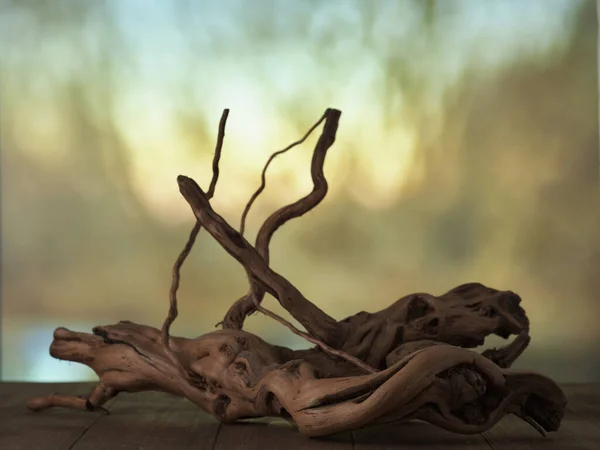 Driftwood Table Nature Inspired Presentation Natural — Stock Photo, Image