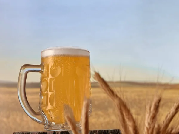 Стеклянная Кружка Пива Пшеничном Поле — стоковое фото