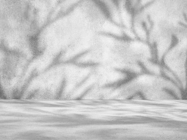 Gray Concrete Backdrop Branch Shadows — Stock Photo, Image